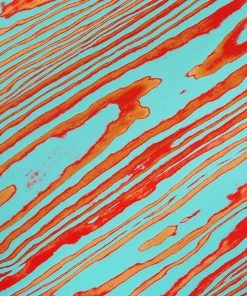 Artek Bench 153B In Red And Turquoise