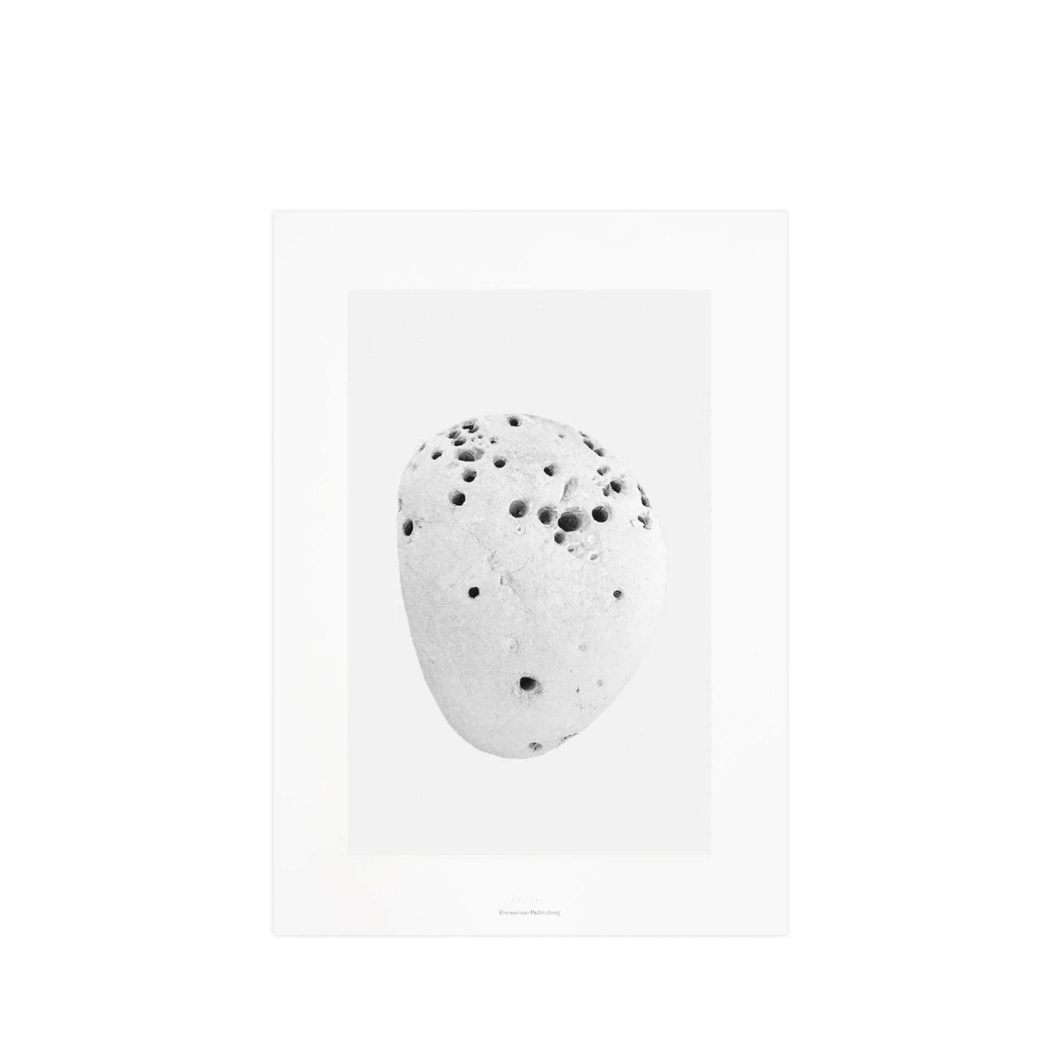 Bienvenue Studios Pacific Marks 5 New 1 Bienvenue Studios Pacific Marks 5 New