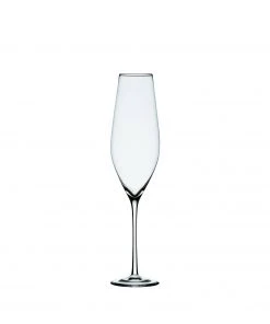 Holmegaard Registry Essentials Cabernet Champagne Glass (Set Of 6)
