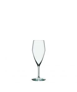 Holmegaard Perfection Champagne Glass (Set Of 6) Registry Essentials