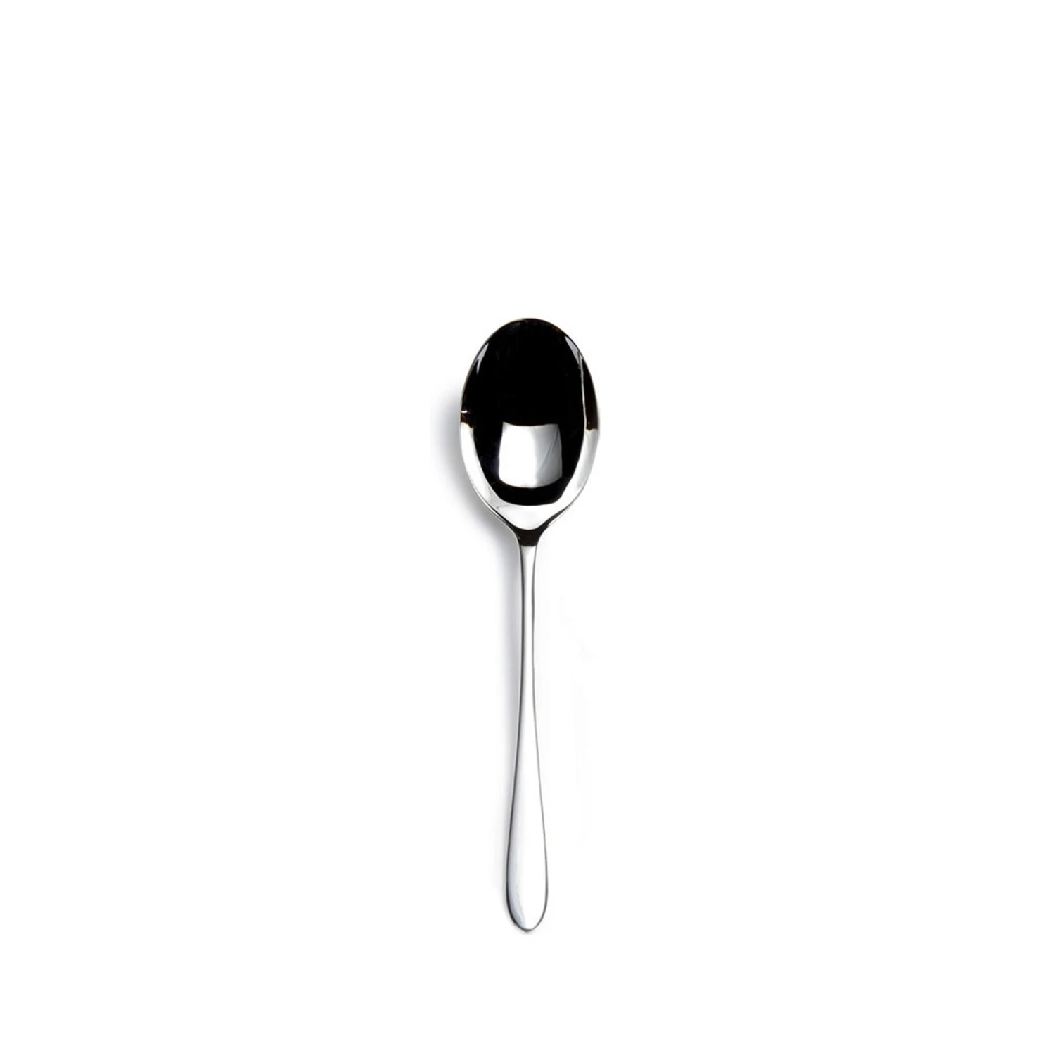David Mellor Registry Essentials Pride Serving Spoon 1 David Mellor Registry Essentials Pride Serving Spoon